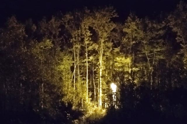 В Апшеронске спасатели ночью вывели из леса заблудившегося грибника