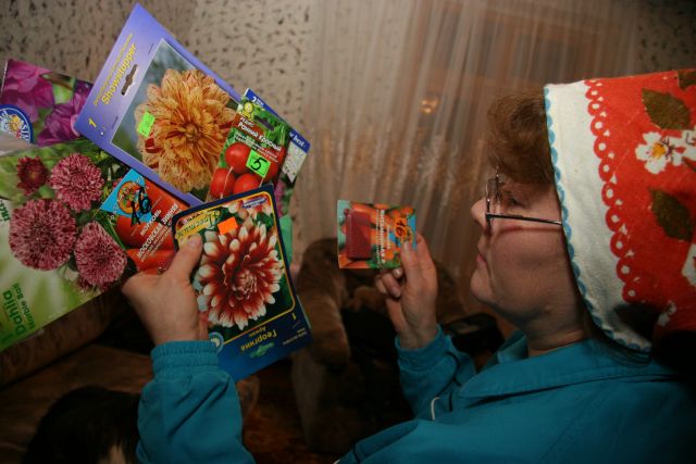 Пора на дачу: в Татарстане эксперт советует начать садить лук и морковку
