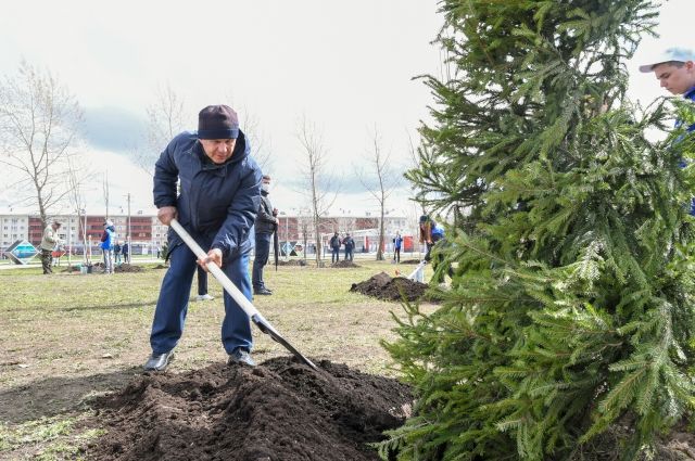 Рустам Минниханов высадил деревья в Казани на акции «Сад памяти»