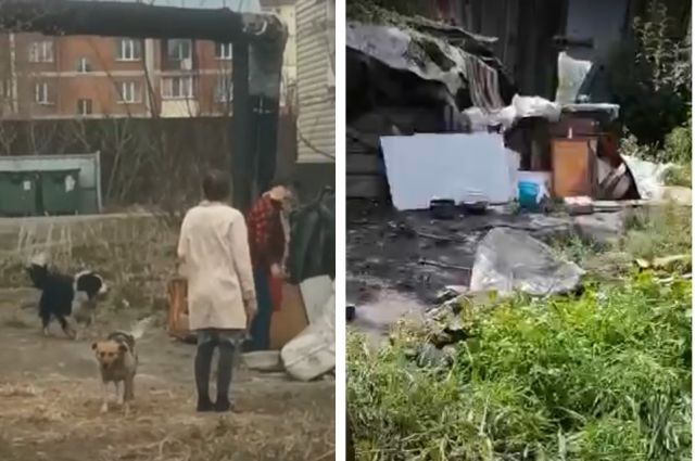 «Дом» из мусора и крысы. Собака годами кидалась на детей под Новосибирском