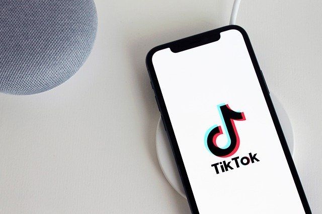  TikTok   Sputnik 