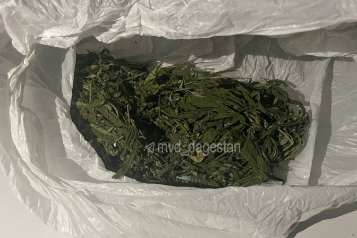 Около 1,6 кг наркотиков изъяли полицейские за неделю в Дагестане