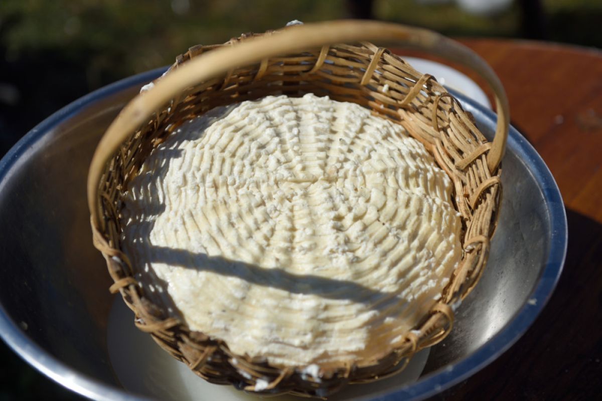 Фестиваль адыгейского сыра пройдет на Даховской поляне 27-28 августа