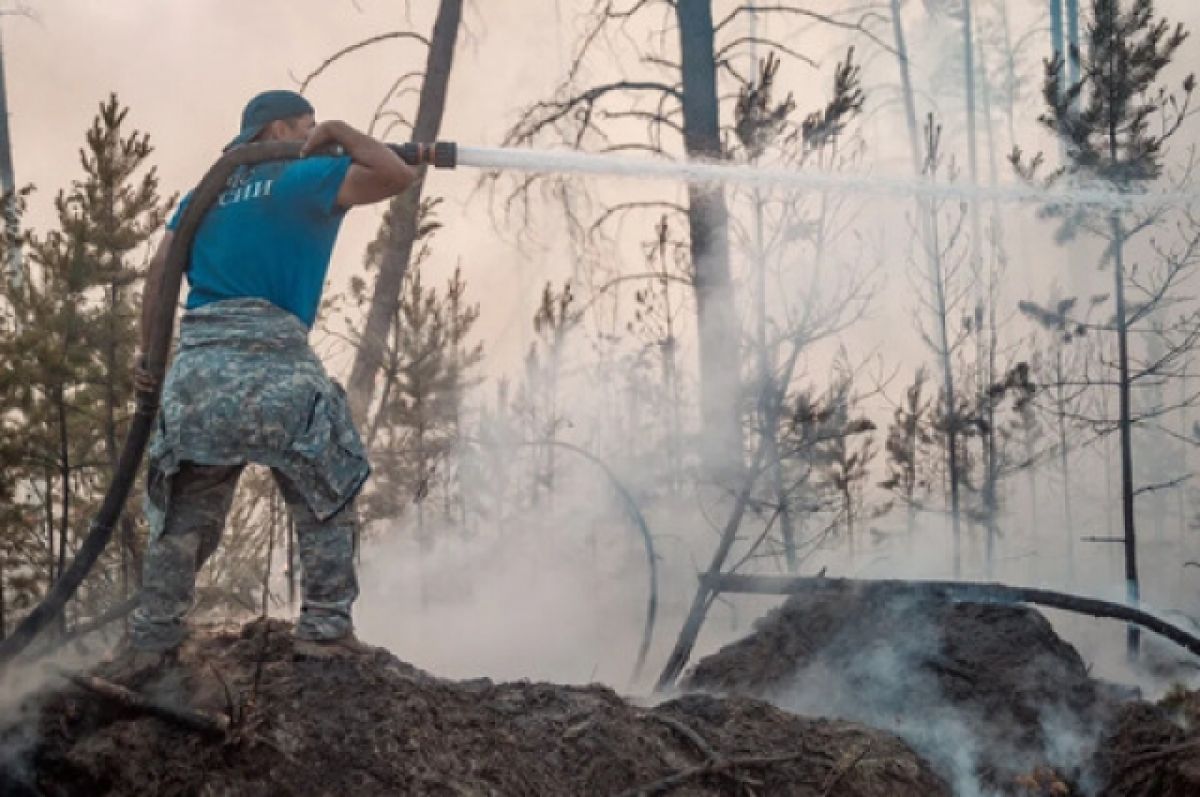 В Поморье за неделю произошло семь лесных пожаров