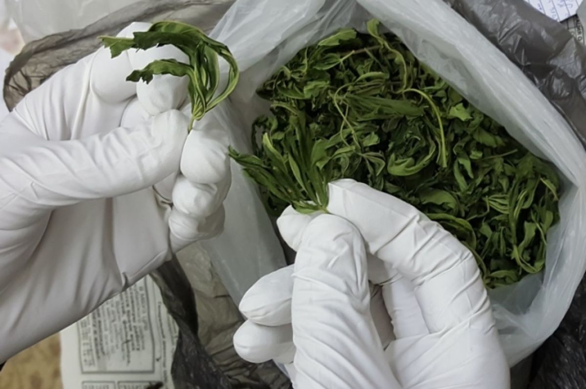 700 граммов марихуаны изъяли у жителя Адыгеи