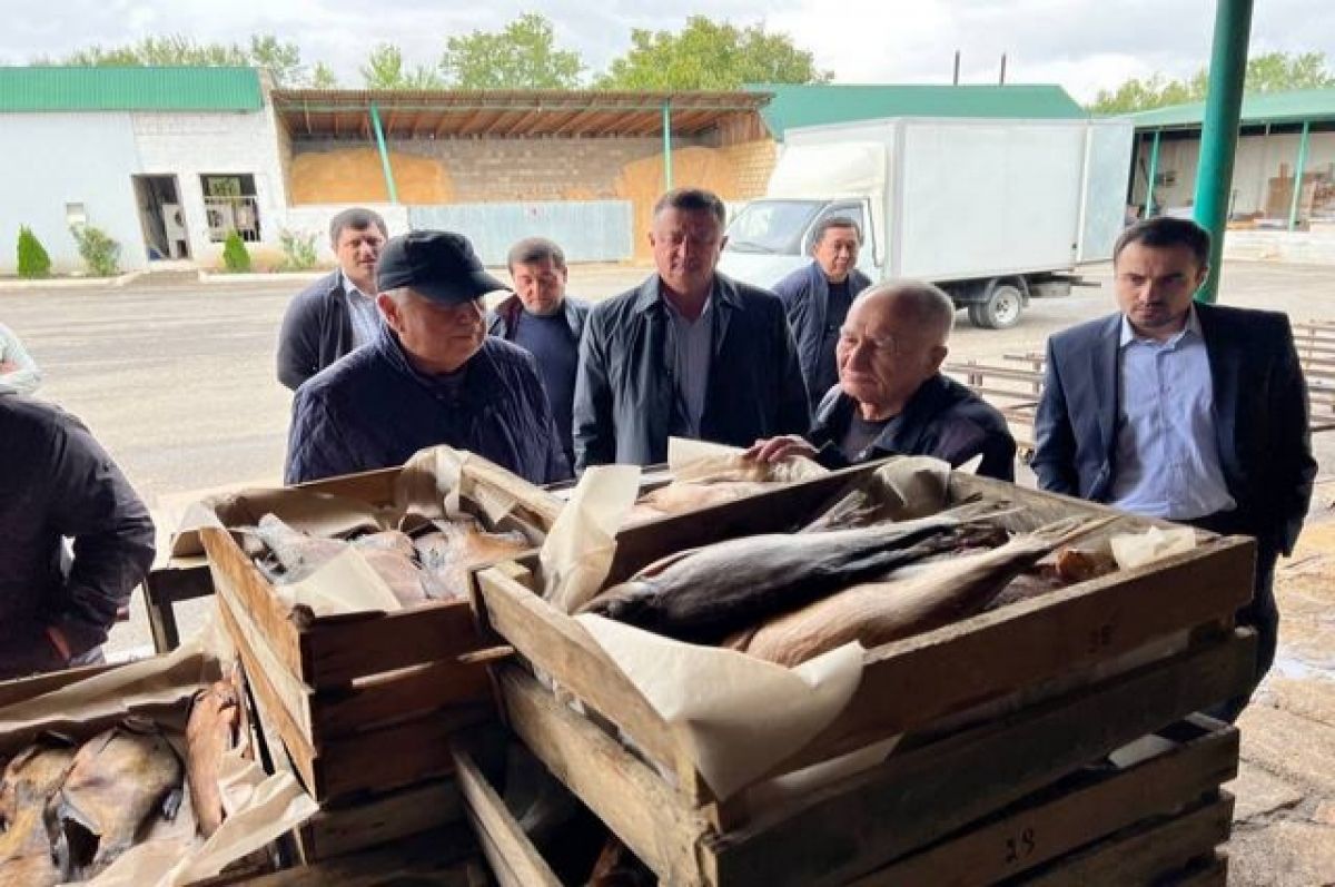 Узбекистан оценил возможности импорта рыбы из Дагестана