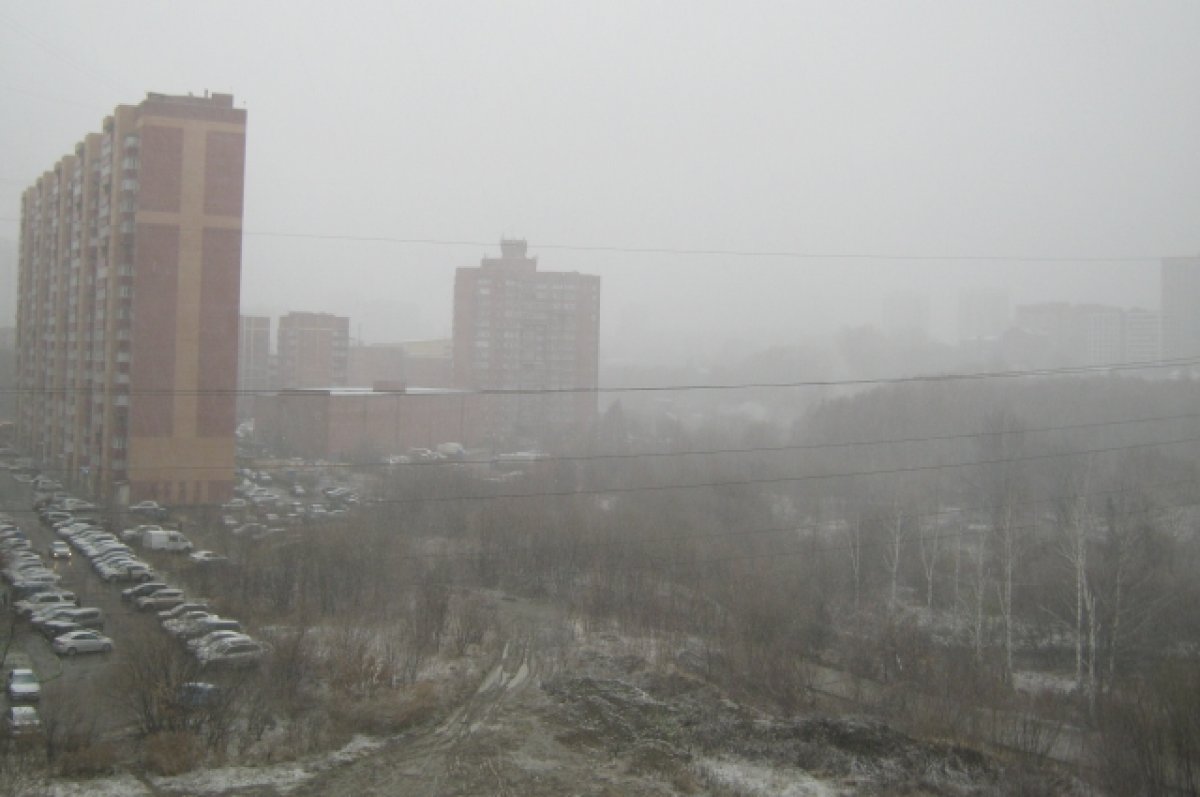 В Новосибирске после штормового ветра началась снежная метель 23 октября