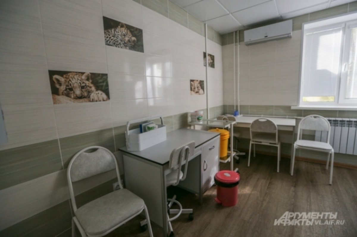 С 1 ноября в детских поликлиниках Бердска изменят режим работы