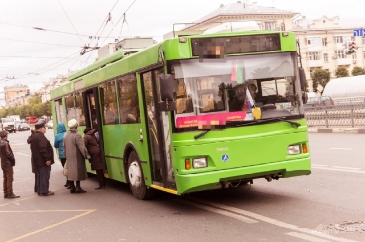 На улице Амирхана в Казани утром встали троллейбусы