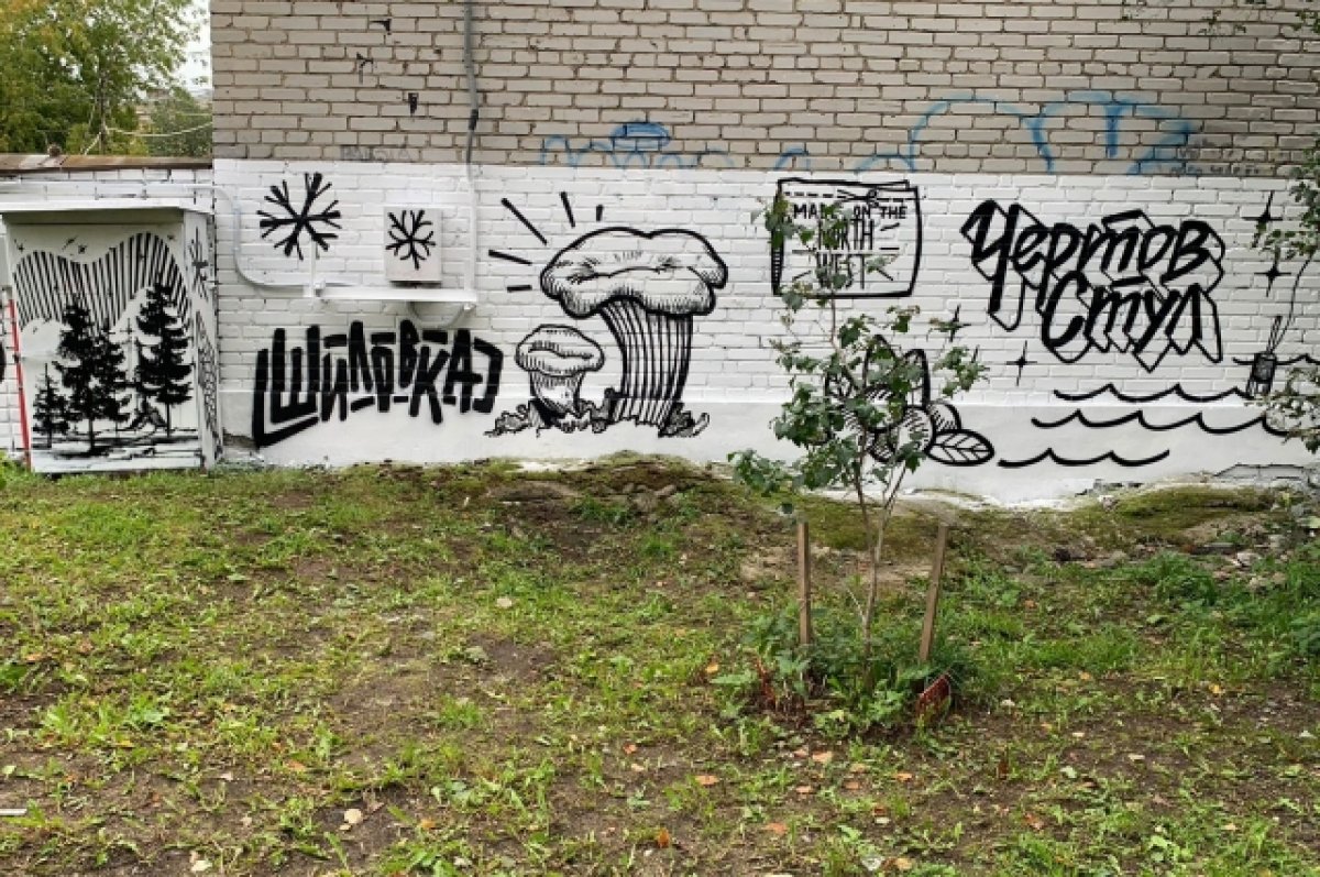 В Архангельске поймали граффитчика и заставили отмывать рисунки