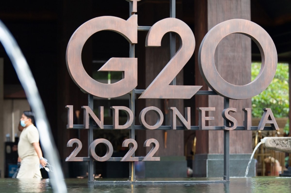  g20    - 