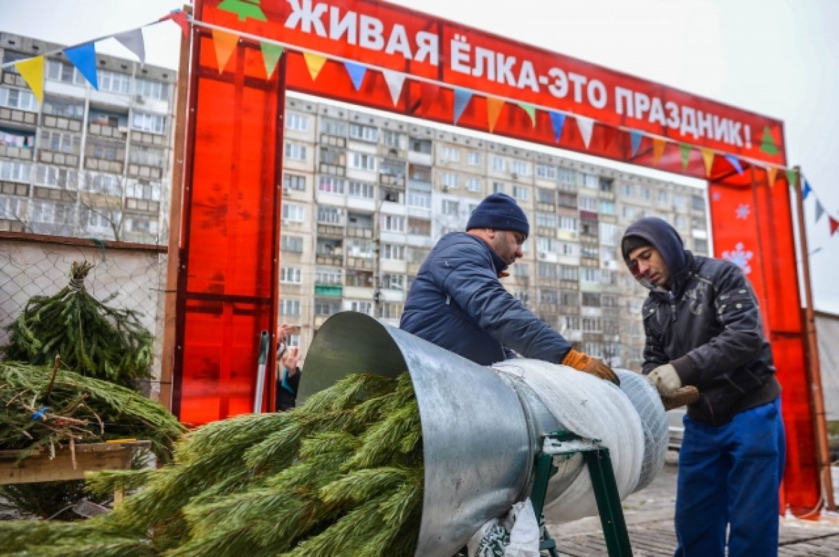 В Новосибирске мэрия опубликовала адреса официальных ёлочных базаров
