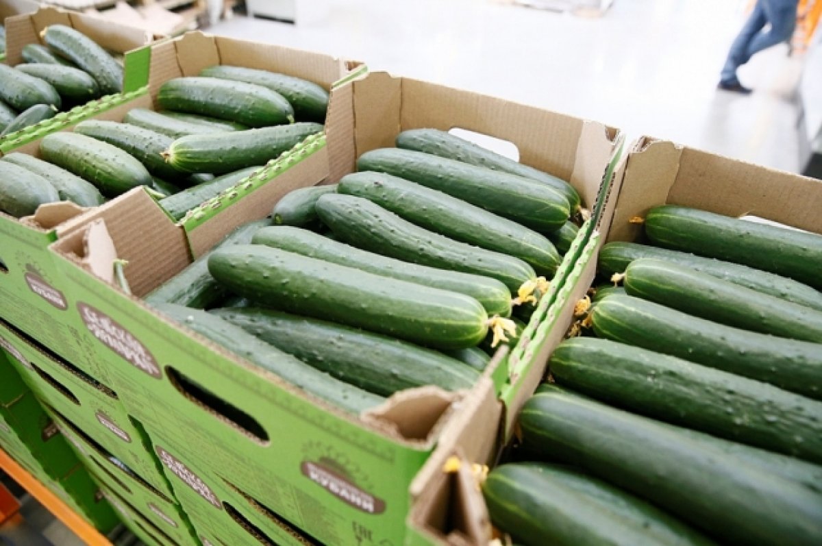 Краснодарский край остается в лидерах по производству овощей
