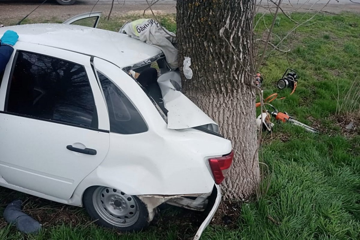 На Кубани на трассе Павловская - Махачкала водитель Lada врезалась в дерево