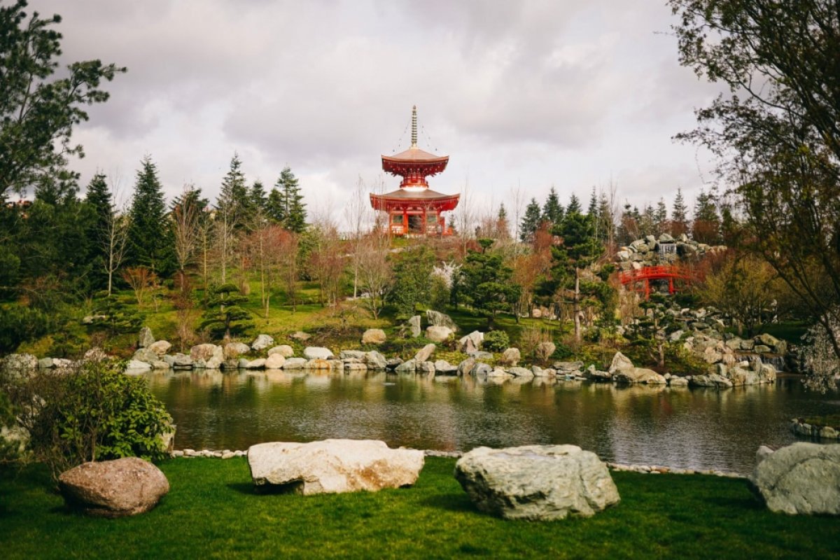 Названа стоимость парка Галицкого после открытия Японского сада