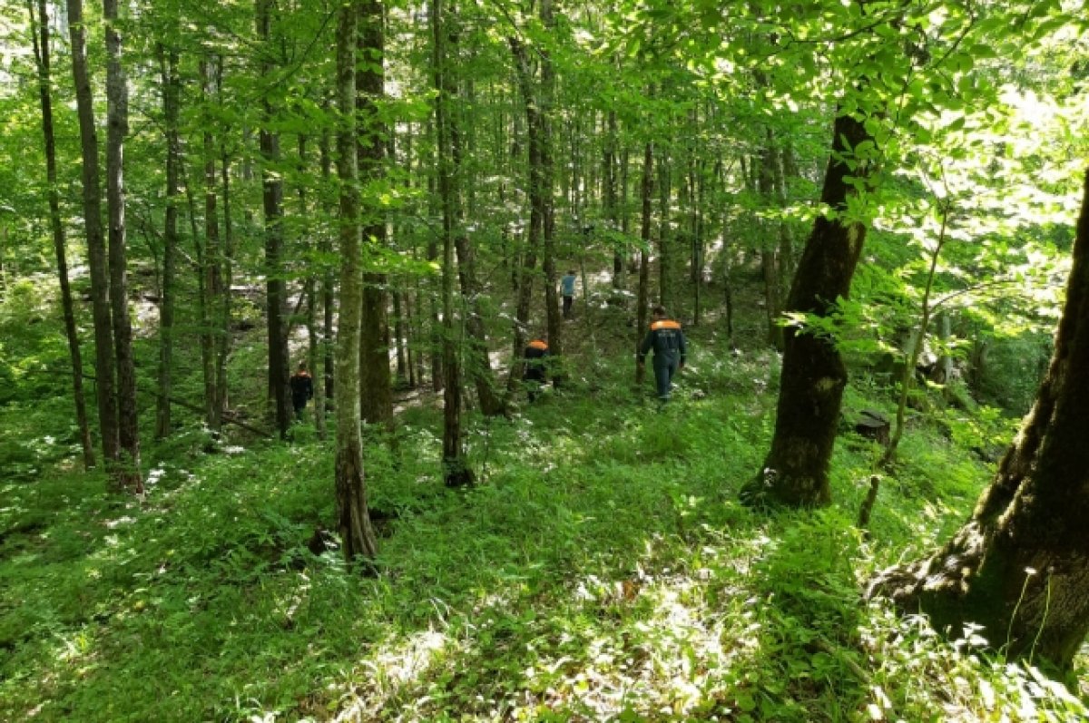 Под Новороссийском в лесах нашли два трупа с разницей в несколько дней
