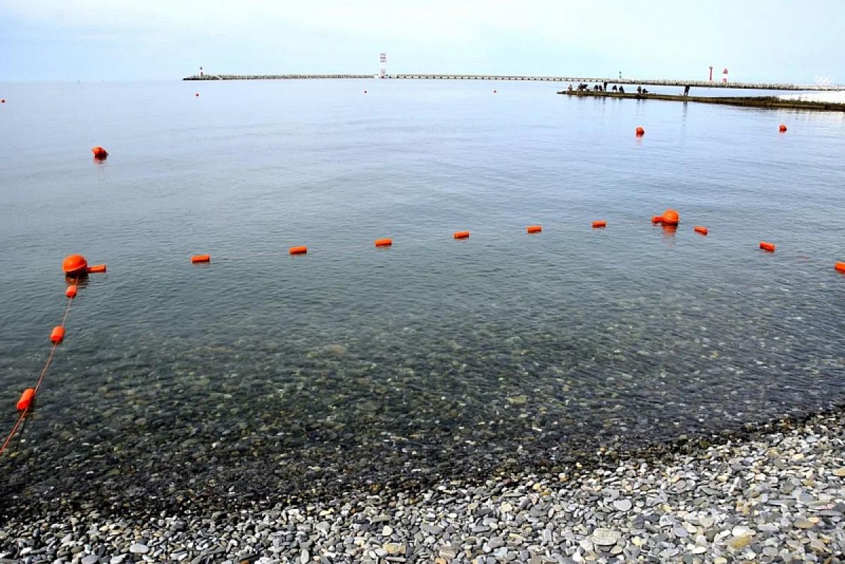 Роспотребнадзор проверил качество воды в Черном море в Сочи