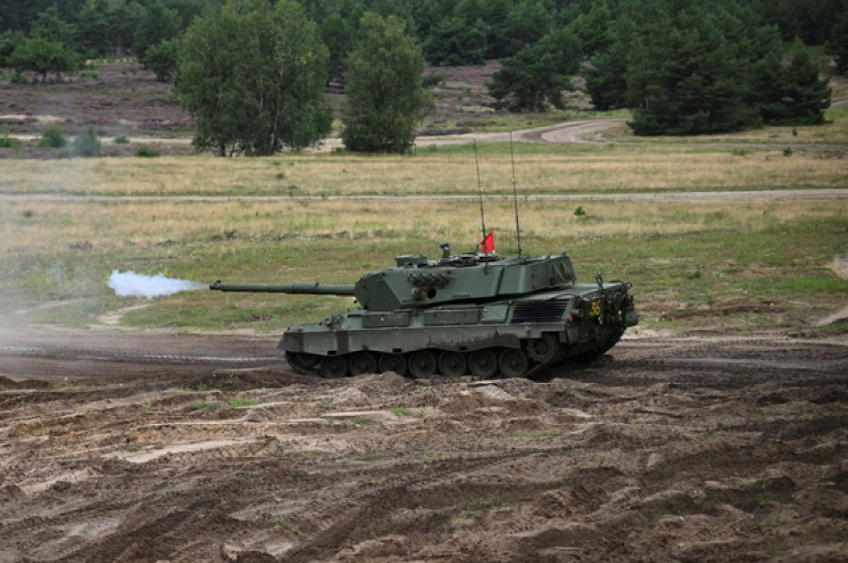   .      10  Leopard 15