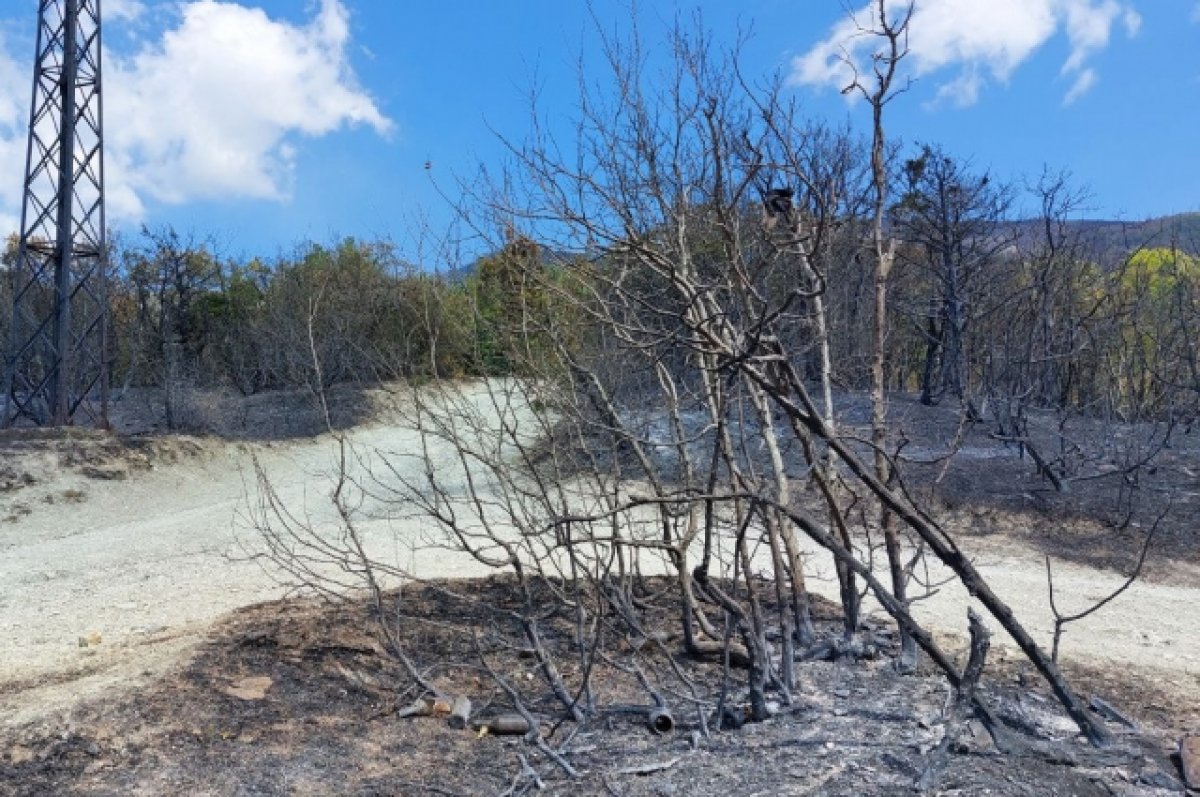 Площадь пожара в Геленджикском лесничестве достигла двух гектаров