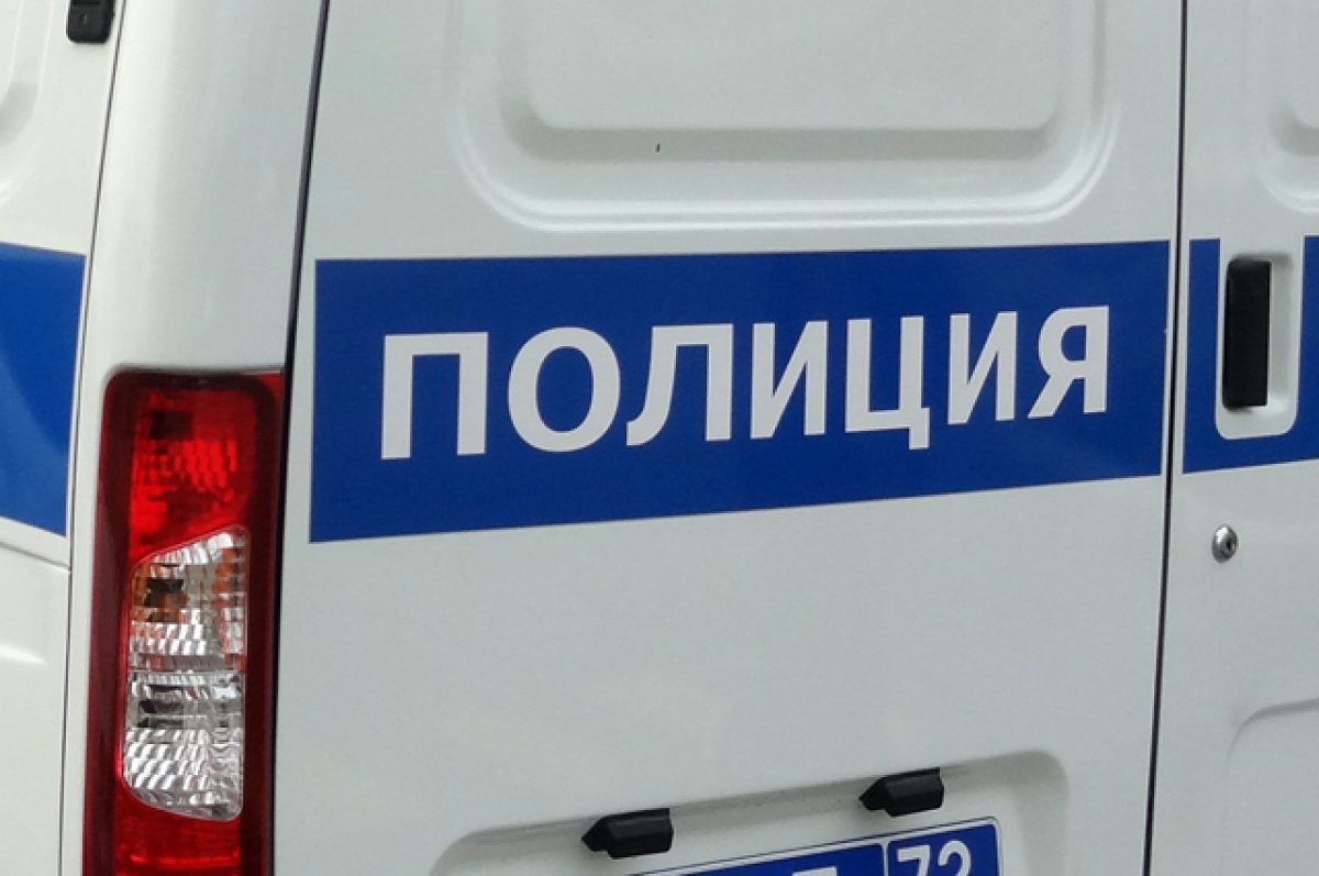 В Омской области задержали жительницу Кубани с 4,7 кг наркотиков