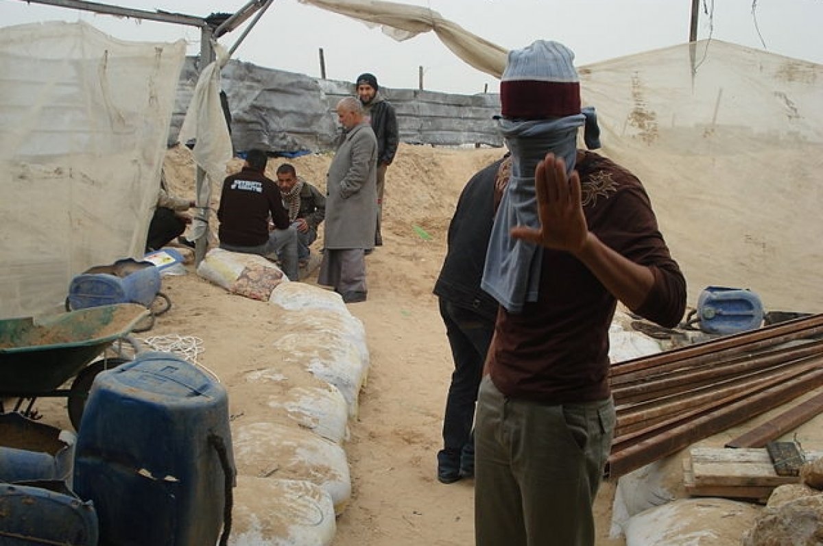  ����� ������ ���� �������� 