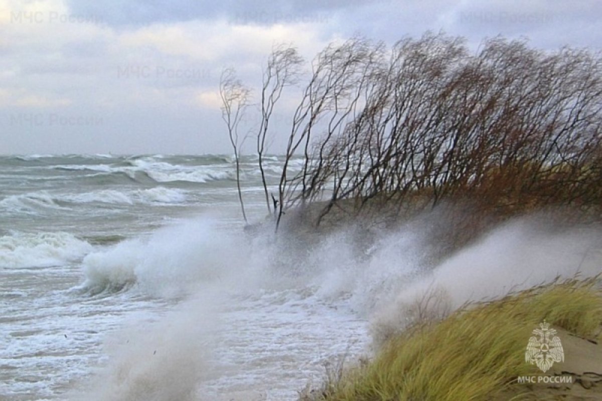 На Краснодарский край 26 ноября обрушился сильный шторм с ураганным ветром
