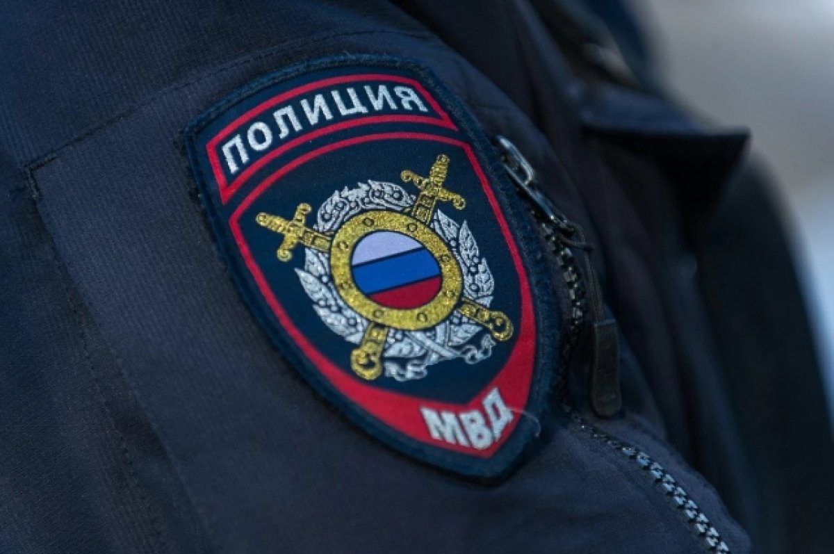 Полиция в Брянске задержала блогера, которая сожгла на камеру паспорт РФ