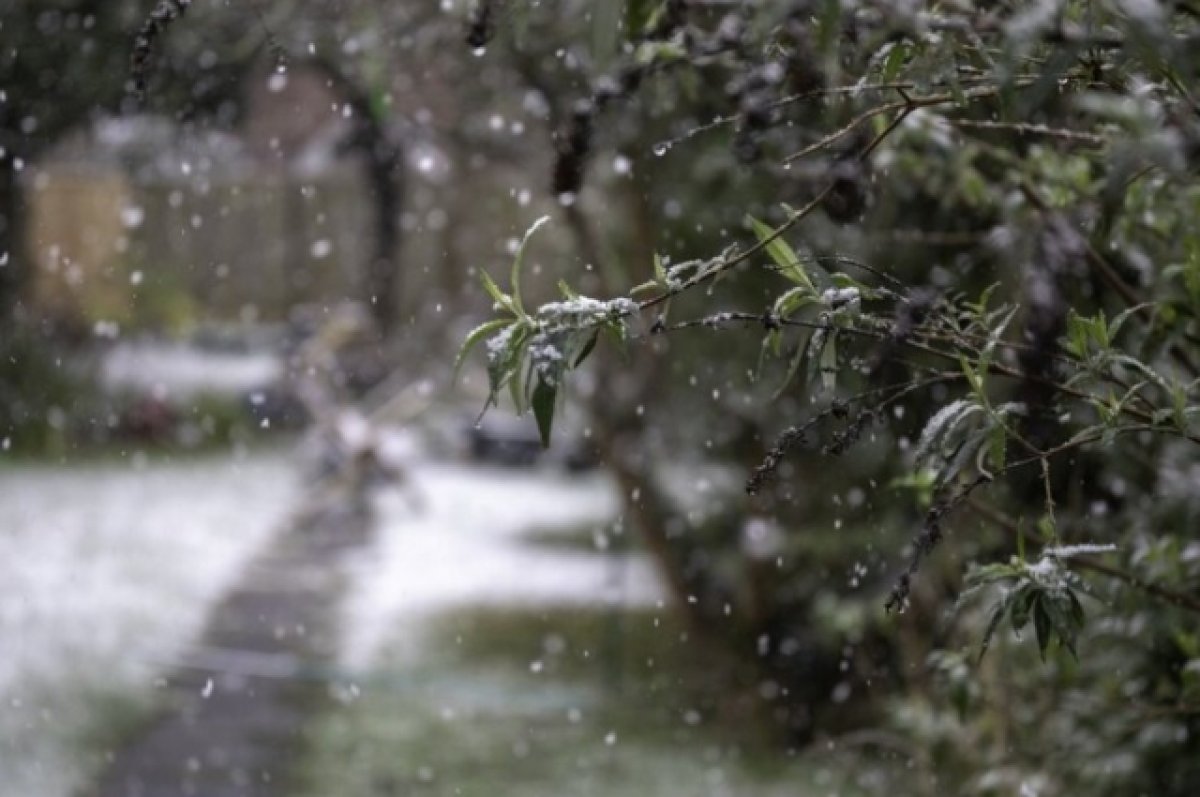 На Кубани ожидается понижение температуры и дождь с мокрым снегом