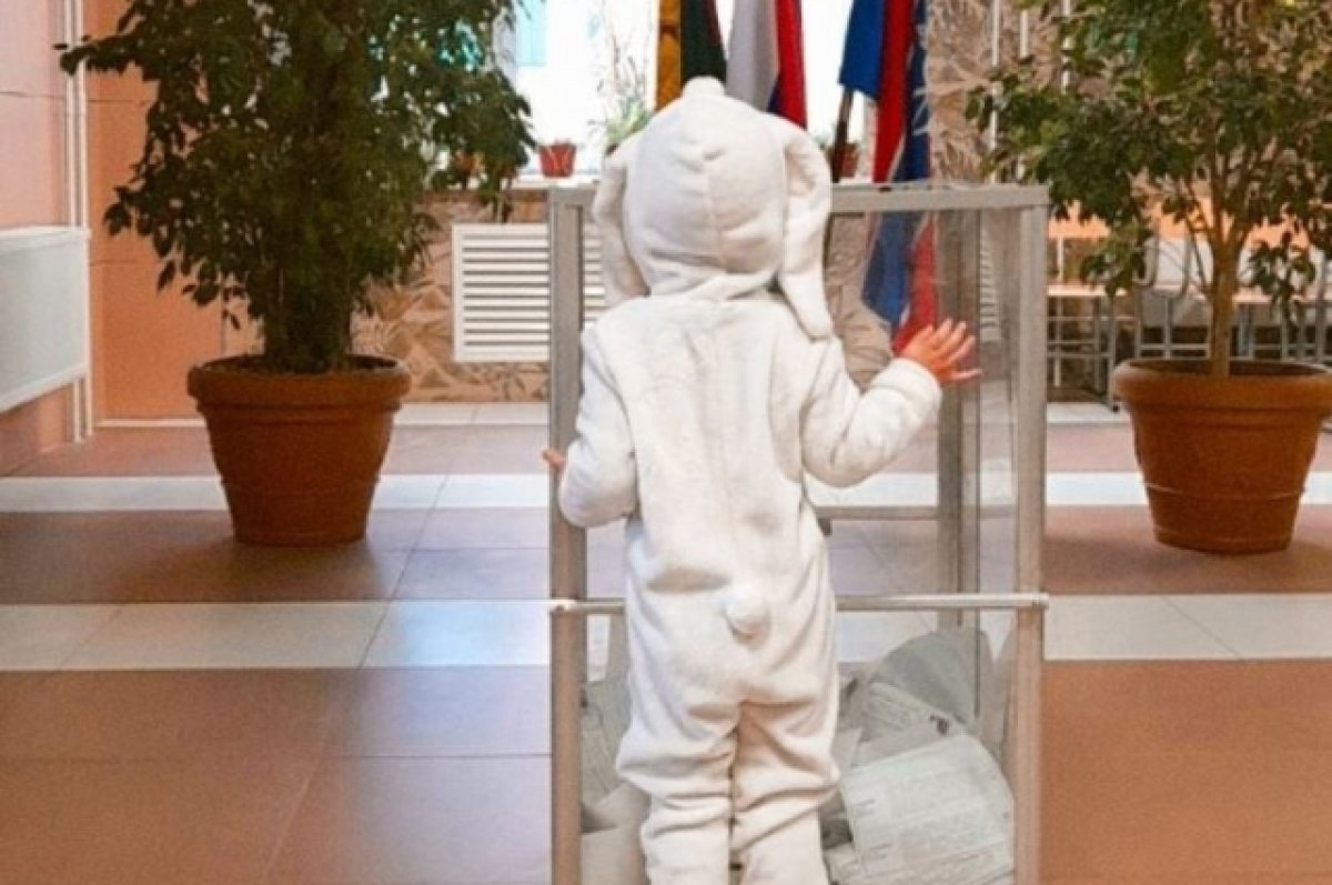 В Армавире на избирательный участок пришел ребенок в костюме зайца