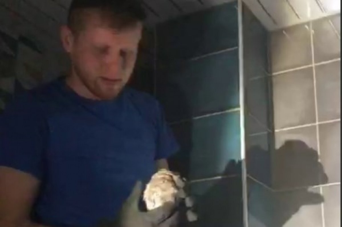 В Новороссийске спасатели достали совенка из вентиляции дома