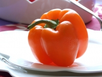 Болгарский перец красный или зеленый полезнее