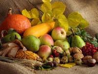 Жареные овощи вред и польза