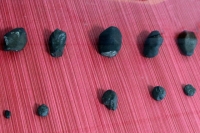 Ученые продемонстрировали все найденные осколки челябинского метеорита