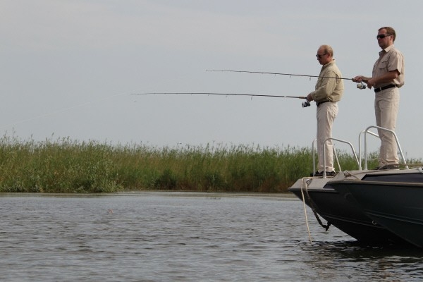 2011 год