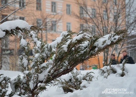 Смоленск