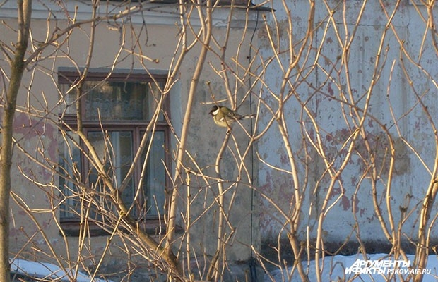 Псков