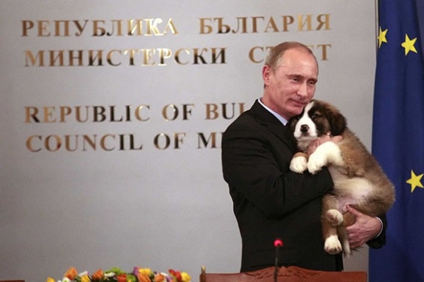 Путин с щенком болгарской овчарки, который был подарен президенту главой правительства Болгарии Бойко Борисовым