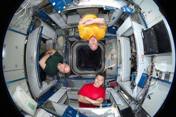 Экипаж 31-й длительной экспедиции (Олег Кононенко, Андрэ Кауперс и Дональд Петтит) в соединительном модуле «Гармония»