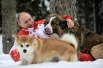 Президент России Владимир Путин с собаками Баффи и Юмэ на прогулке в Московской области