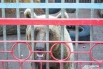 Ставропольский зоопарк – это заповедный уголок в парке Победы, одно из любимых мест отдыха как детей, так и взрослых. В зоопарке можно увидеть таких хищников, как лисы, волки, медведи, львы и тигры. В январе 2011 года в зоопарке случилась трагедия. Медвед