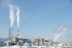 В 1966 г. началось производство на Байкальском целлюлозно-бумажном комбинате (БЦБК), в результате чего начали деградировать прилегающие донные территории озера. 