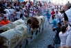 Забег быков по улицам Памплоны