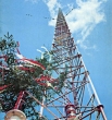 Предшественником "Бурдж-Халифы" в звании самого высокого рукотворного здания была Варшавская радиобашня длиной в 646 метров. Конструкция обрушилась в 1991 году. 