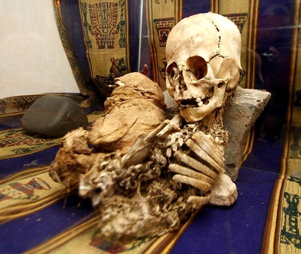 
Находка была сделана 2 года назад в горах Перу. Накрытые одеялом, мумии были найдены на холме Wiracochan в 2-х километрах от города Андауайлильяс.  Одна из мумий, высотой 50 см с нечеловеческими характеристиками, имеет вытянутый треугольный череп и боль