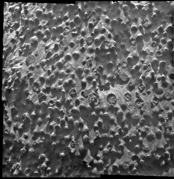 В ноябре 2012 года марсоход Curiosity зачерпнул пригоршню песка с поверхности планеты и отправил ее на анализ. Он обнаружил простую органику – соединения углерода и водорода, которые не всегда присутствуют в живых организмах. Говорить об успехе миссии был