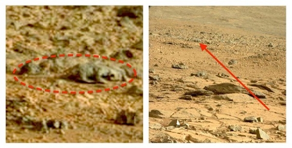 Много шума наделал снимок поверхности Марса, который Curiosity сделал 28 сентября 2012 года. Некоторые пользователи интернета разглядели на нем белку и высказали версию о том, что якобы NASA отправили ее на Красную планету, чтобы узнать, сколько она прожи