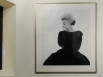 Это фото Мэрилин Монро, сделанное Бертом Штерном входит в коллекцию наследия актрисы и входила в экспозицию сразу нескольких выставок, в том числе «Мифы Мэрилин», прошедшей во многих залах Европы и Северной Америки.