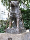 В апреле 1934 года у станции Сибуя был установлен памятник собаке по кличке Хатико. Пёс породы акита-ину на протяжении десяти лет у станции ждал своего хозяина,  умершего от инфаркта. Во время Второй мировой войны памятник был разрушен, но в 1948 году вла