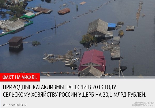 По мнению экс-замминистра экономики Ивана Старикова, властям нужно предпринимать срочные меры, чтобы остановить миграцию населения Дальнего Востока. В противном случае, в регион придут китайцы.
<a href="http://www.aif.ru/money/article/67013">«Вертикаль