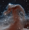 Туманность Конская голова в созвездии Ориона. Одна из наиболее изученных учёными туманностей. В левой верхней части изображения хорошо видны свежеобразованные звёзды. Фотография опубликована в апреле 2013 года.